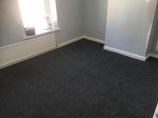 Second bedroom with window and grey carpet